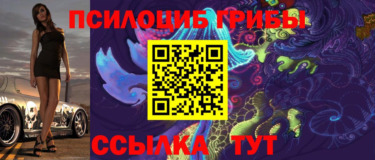 Краснотурьинск  Псилоцибиновые грибы Psilocybine cubensis  Вход с VPN  Псилоцибиновые грибы прущие грибы 